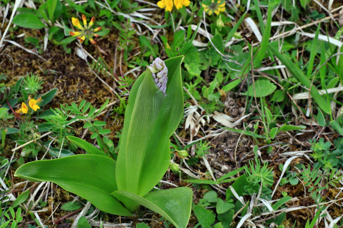 2015_05_05_00018668p_Bildgr��e �ndern