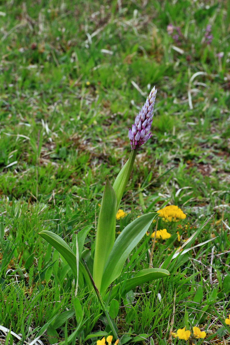 2015_05_05_00018671p_Bildgr��e �ndern