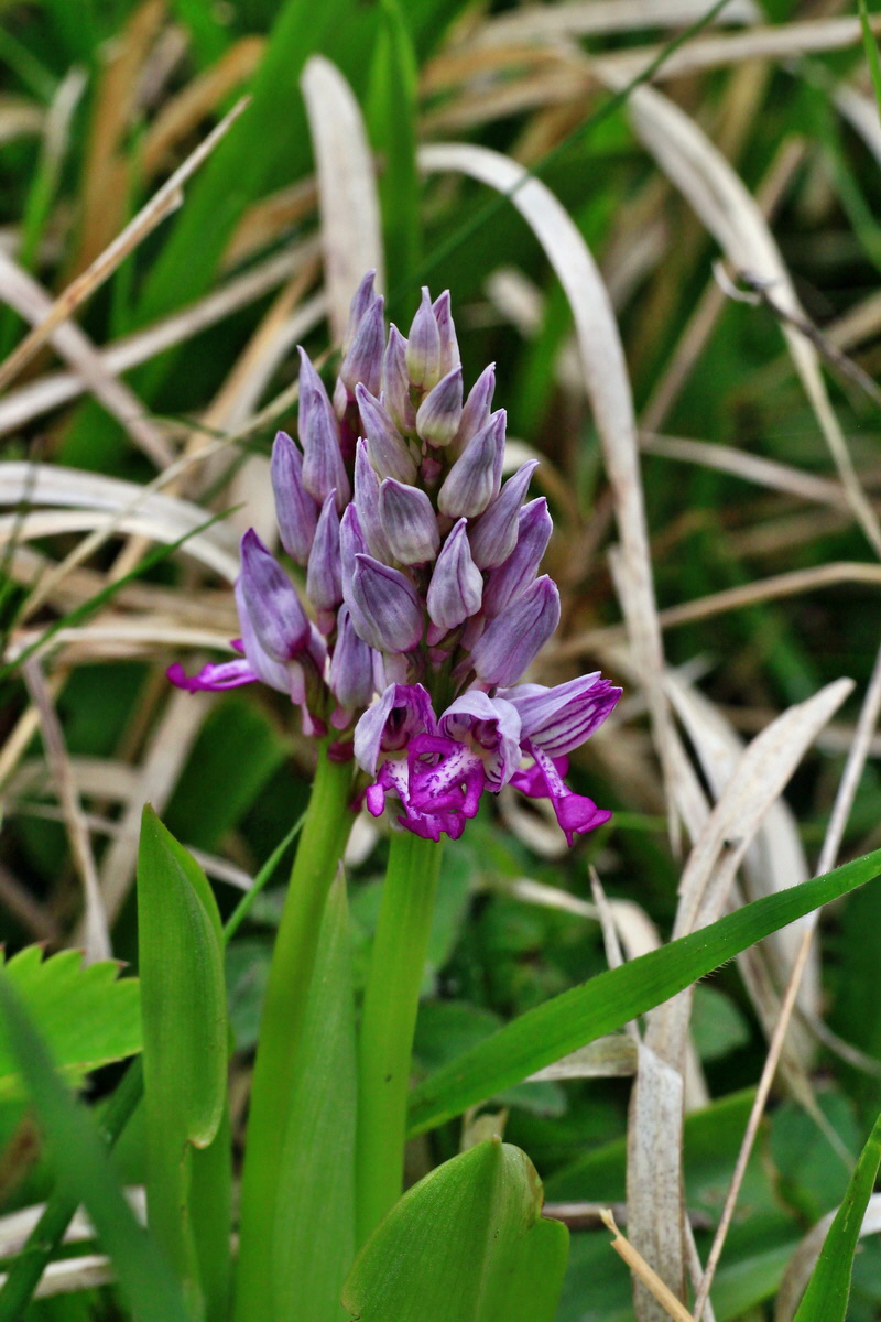 2015_05_05_00018673p_Bildgr��e �ndern