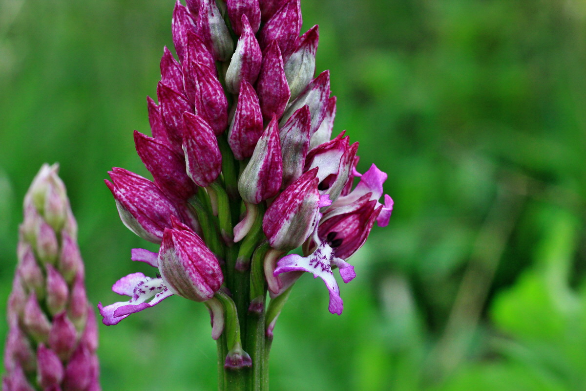 2015_05_05_00018683p_Bildgr��e �ndern