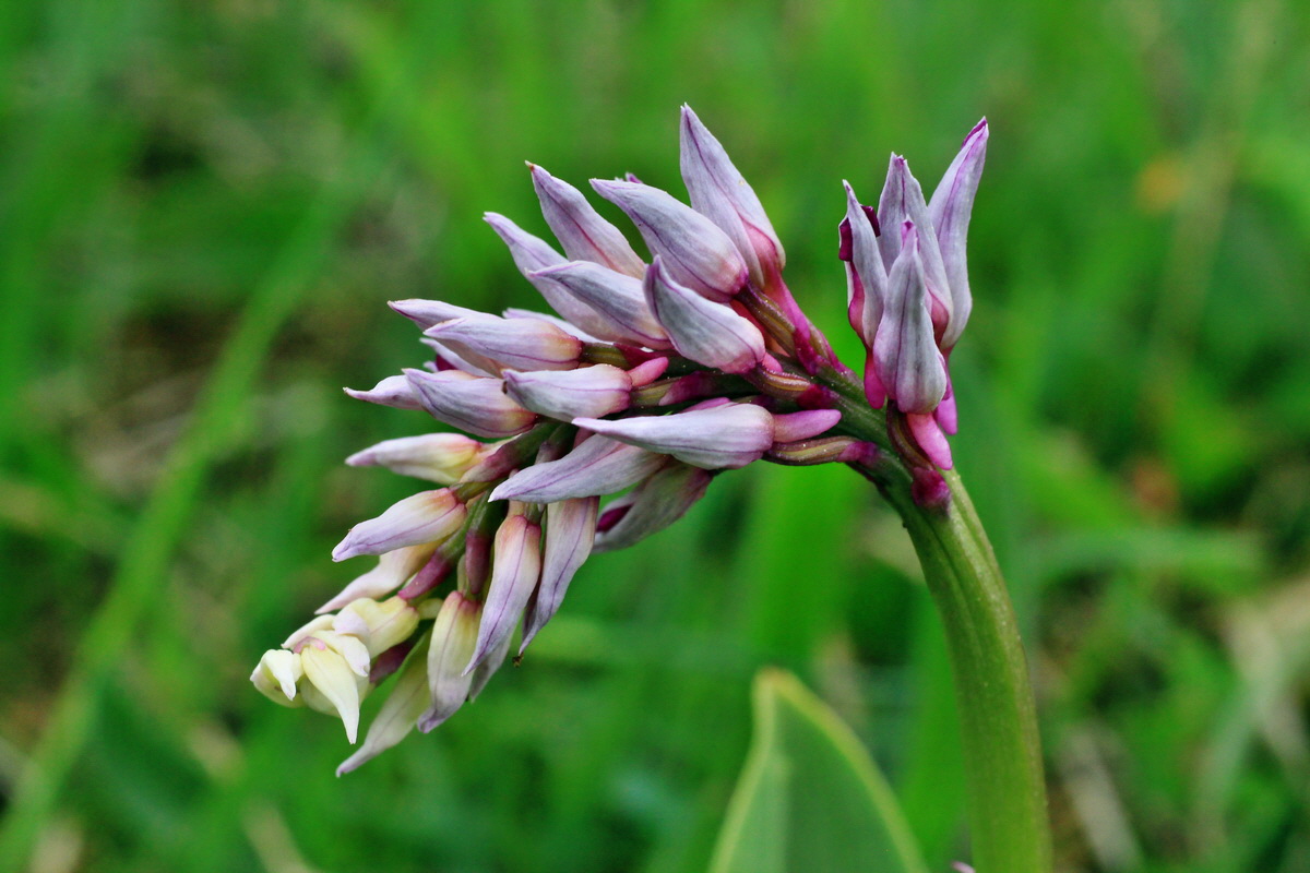 2015_05_05_00018686p_Bildgr��e �ndern