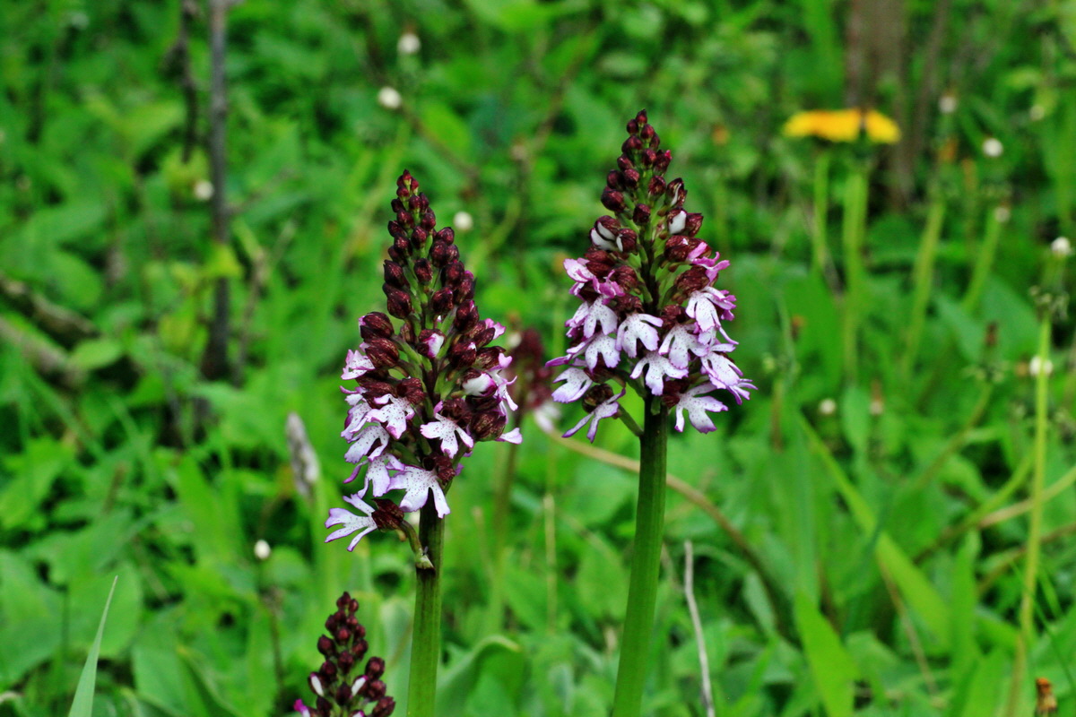 2015_05_05_00018688p_Bildgr��e �ndern