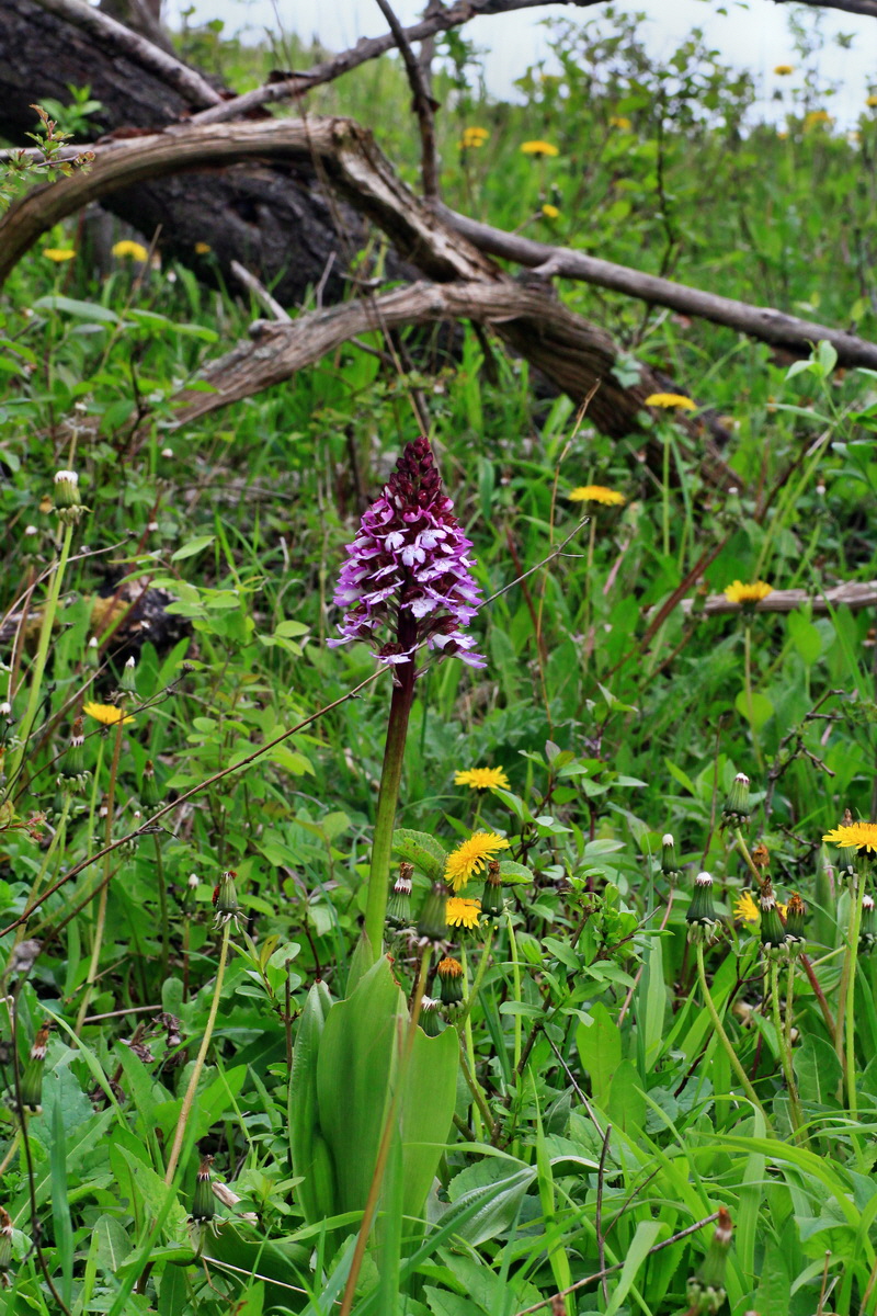 2015_05_05_00018690p_Bildgr��e �ndern