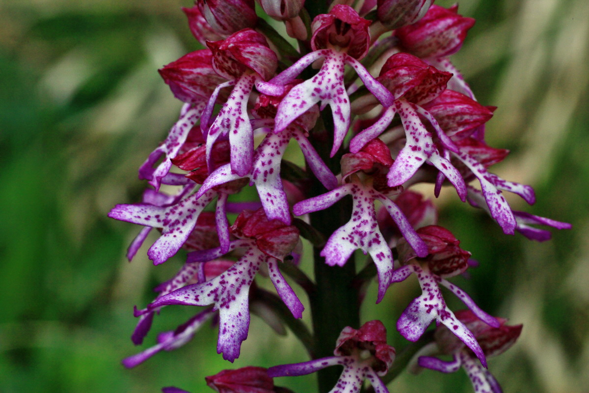 2015_05_05_00018694p_Bildgr��e �ndern