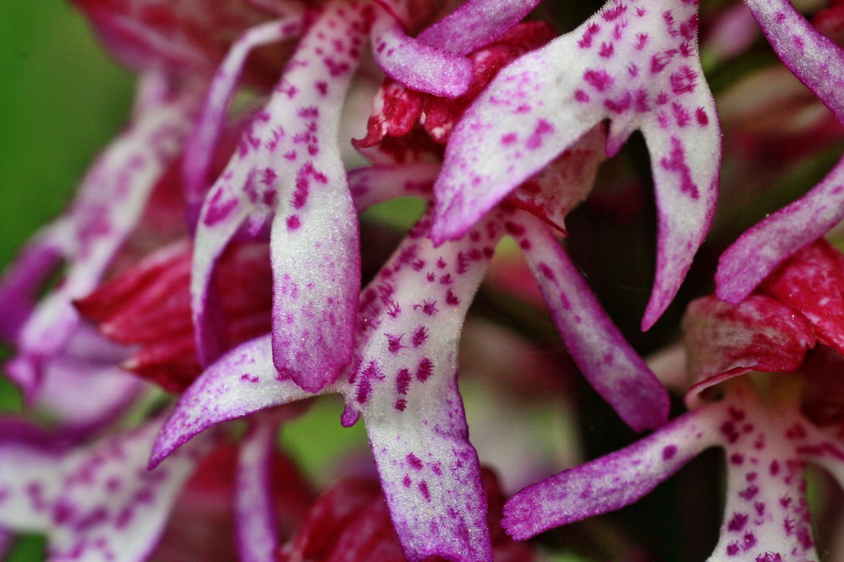 2015_05_05_00018697p_Bildgr��e �ndern