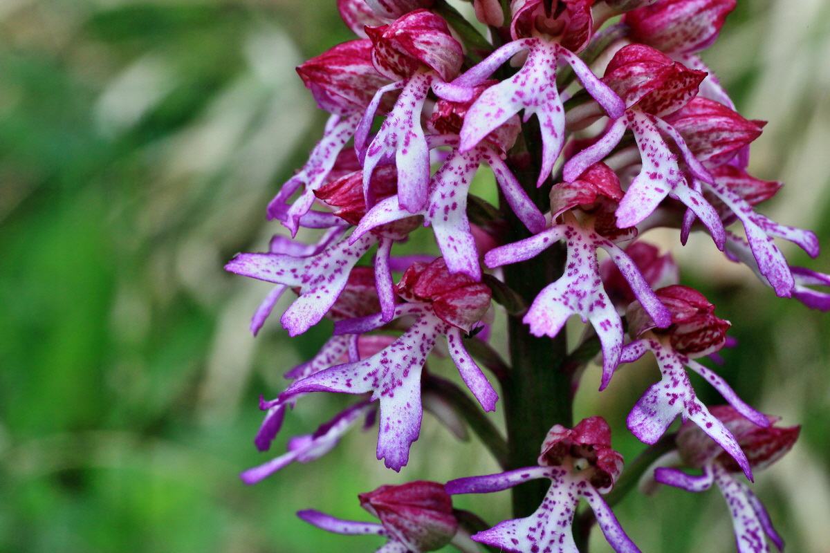 2015_05_05_00018699p_Bildgr��e �ndern