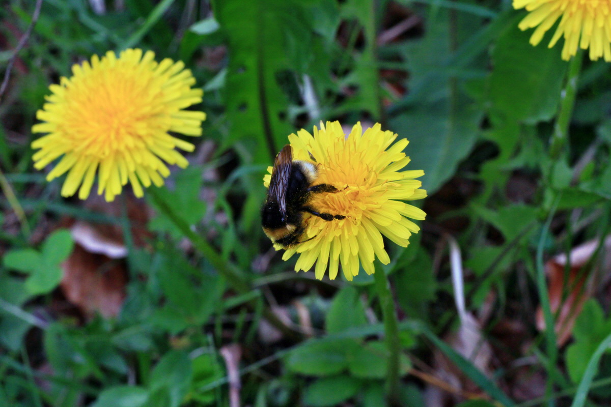 2015_05_05_00018703p_Bildgr��e �ndern