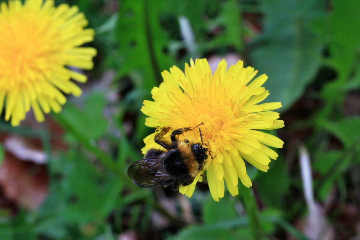 2015_05_05_00018706p_Bildgr��e �ndern