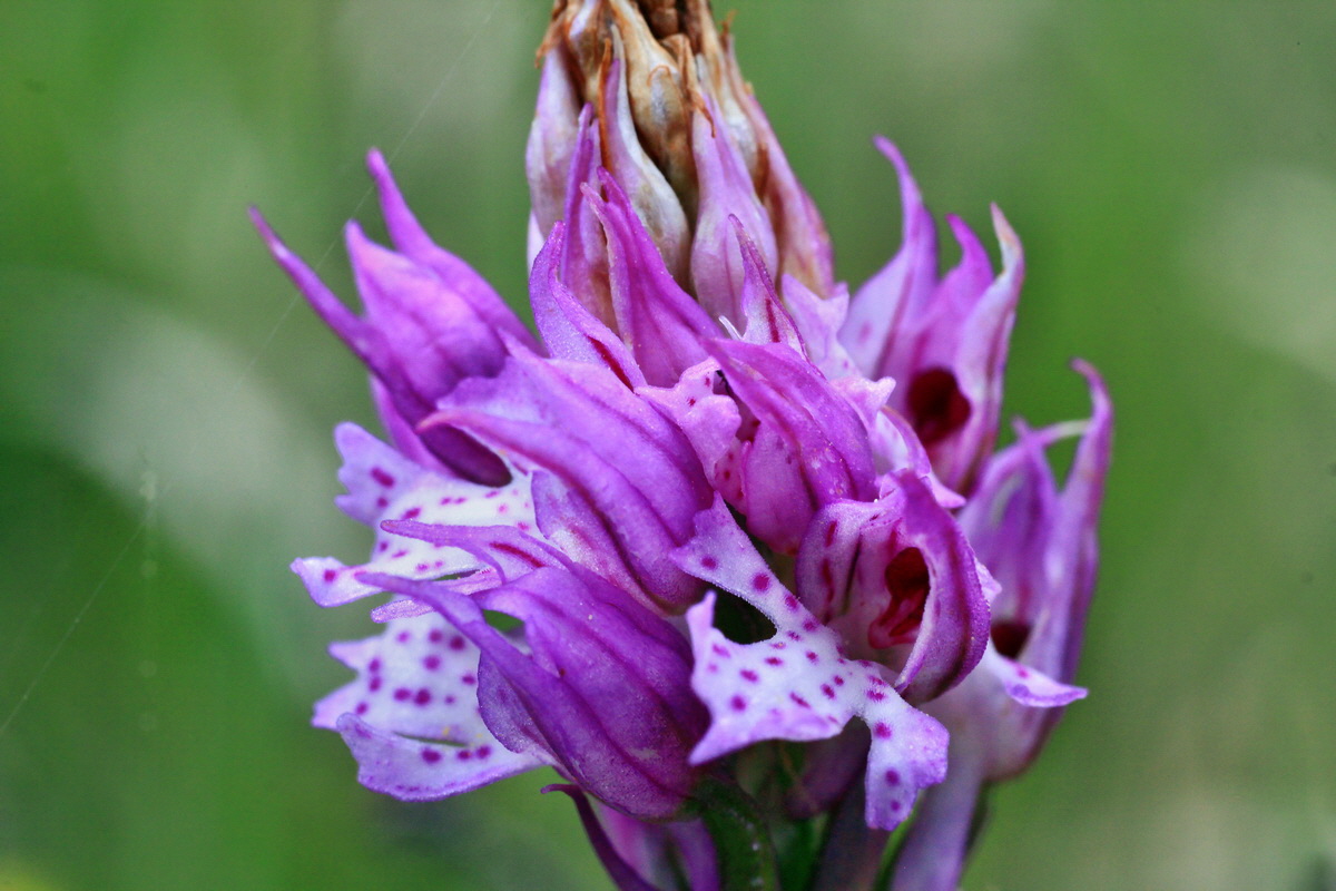 2015_05_05_00018722p_Bildgr��e �ndern