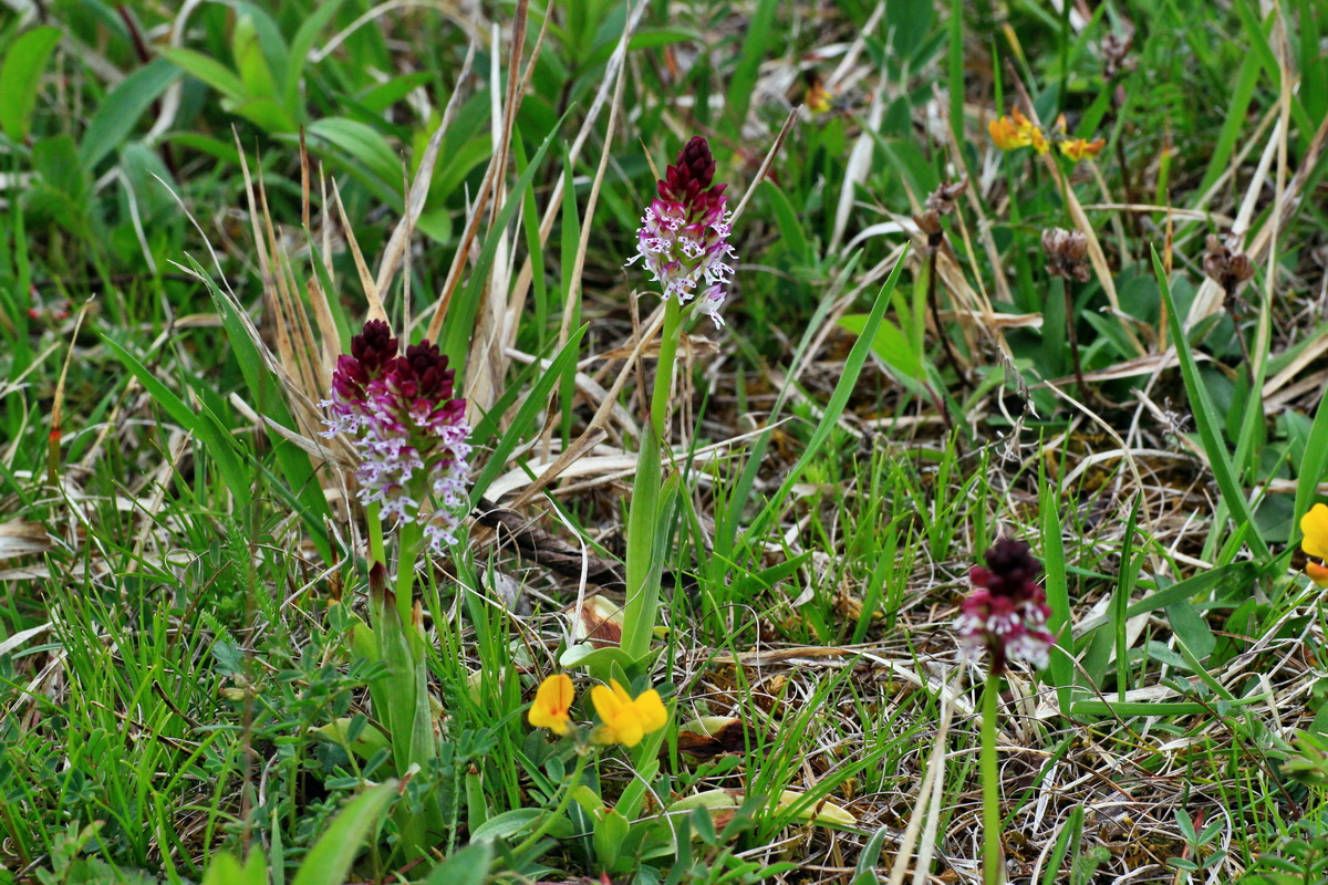 2015_05_05_00018724p_Bildgr��e �ndern