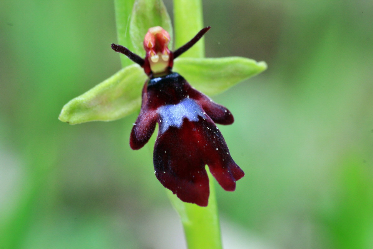 2015_05_05_00018728p_Bildgr��e �ndern