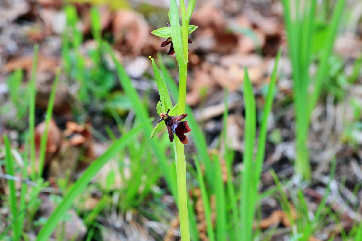 2015_05_05_00018729p_Bildgr��e �ndern