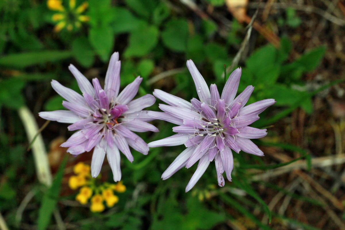 2015_05_05_00018733p_Bildgr��e �ndern