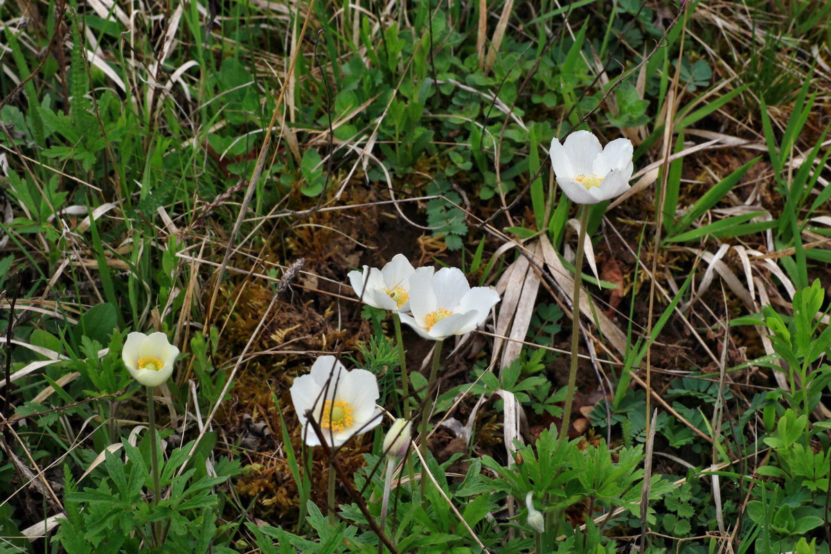 2015_05_05_00018737p_Bildgr��e �ndern