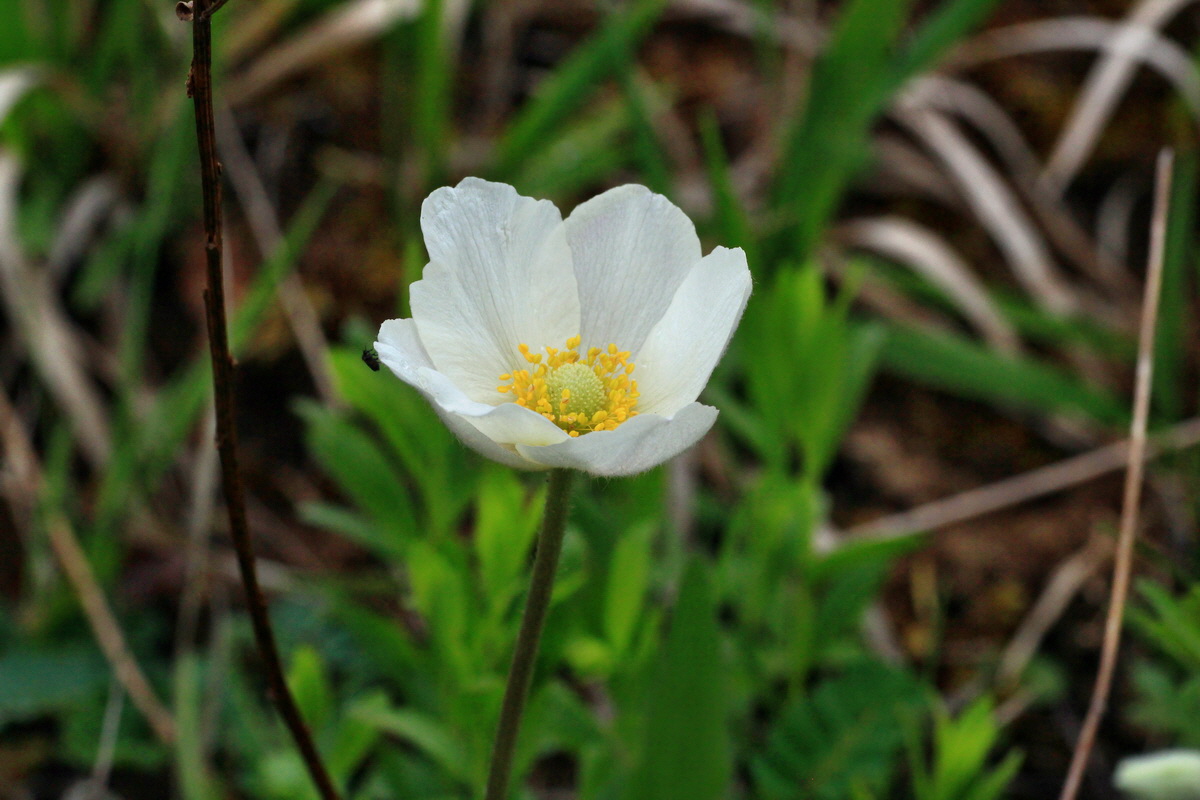 2015_05_05_00018740p_Bildgr��e �ndern