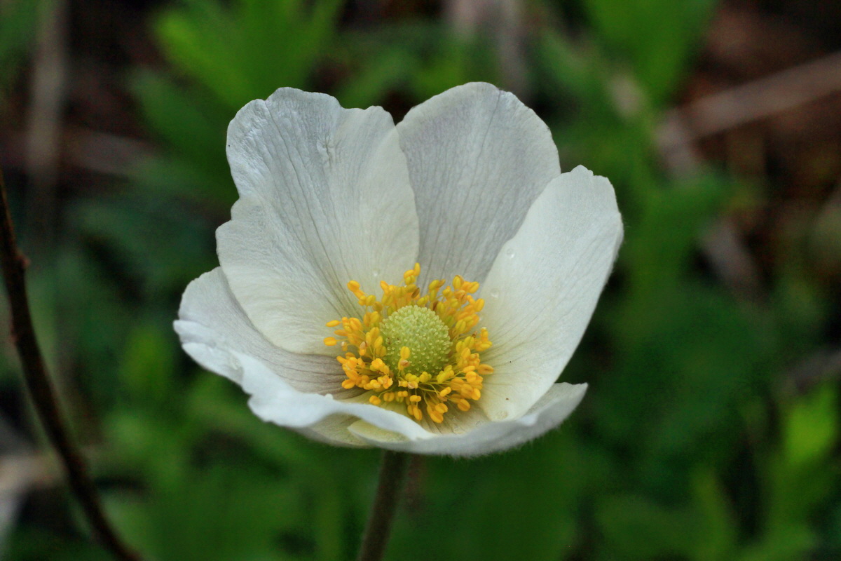 2015_05_05_00018742p_Bildgr��e �ndern