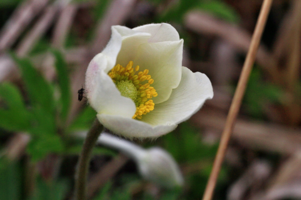 2015_05_05_00018744p_Bildgr��e �ndern