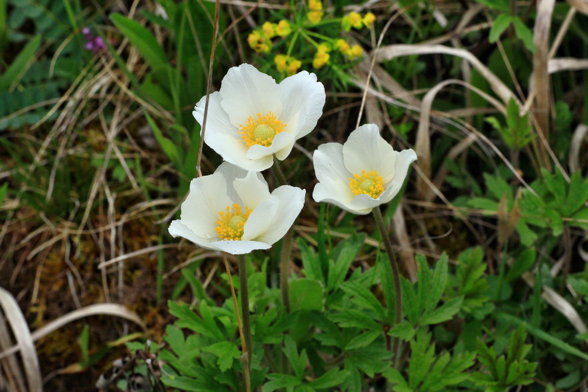 2015_05_05_00018747p_Bildgr��e �ndern