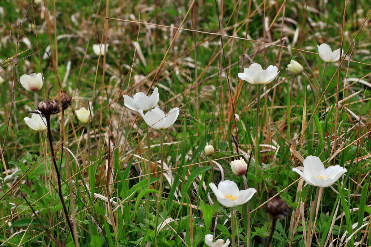 2015_05_05_00018756p_Bildgr��e �ndern