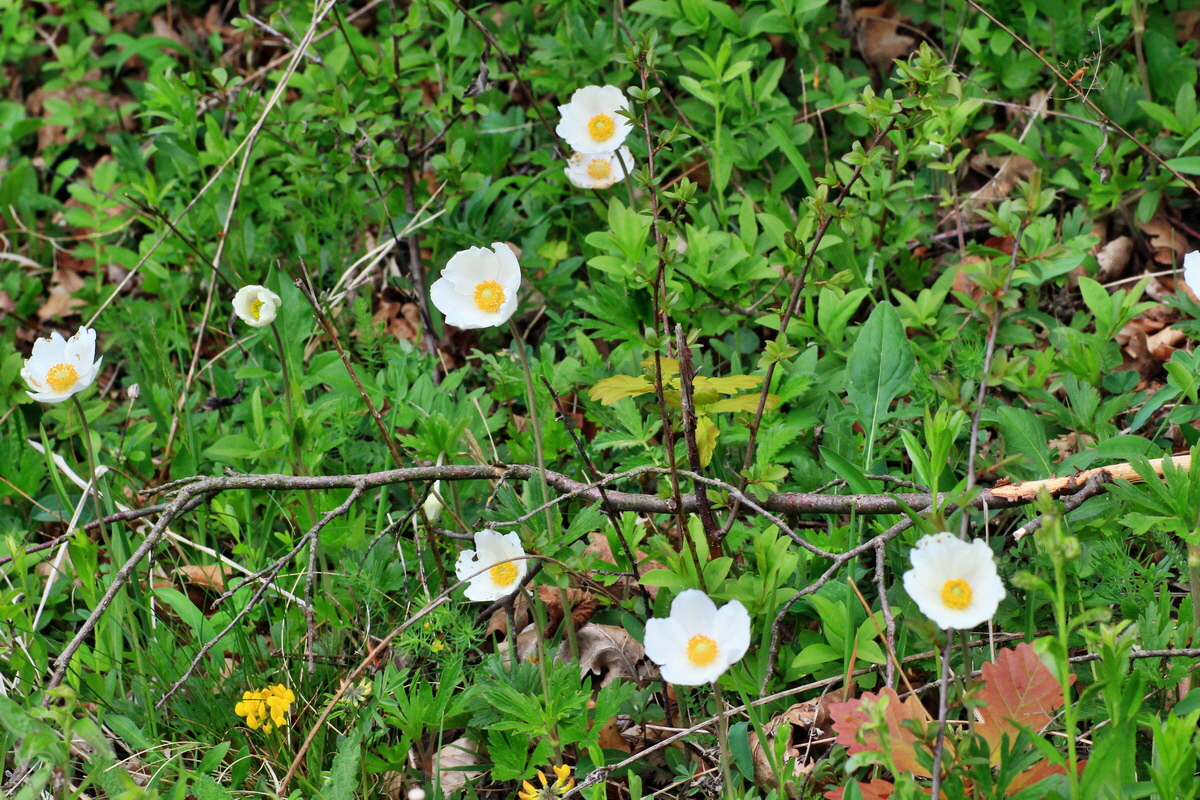 2015_05_05_00018760p_Bildgr��e �ndern