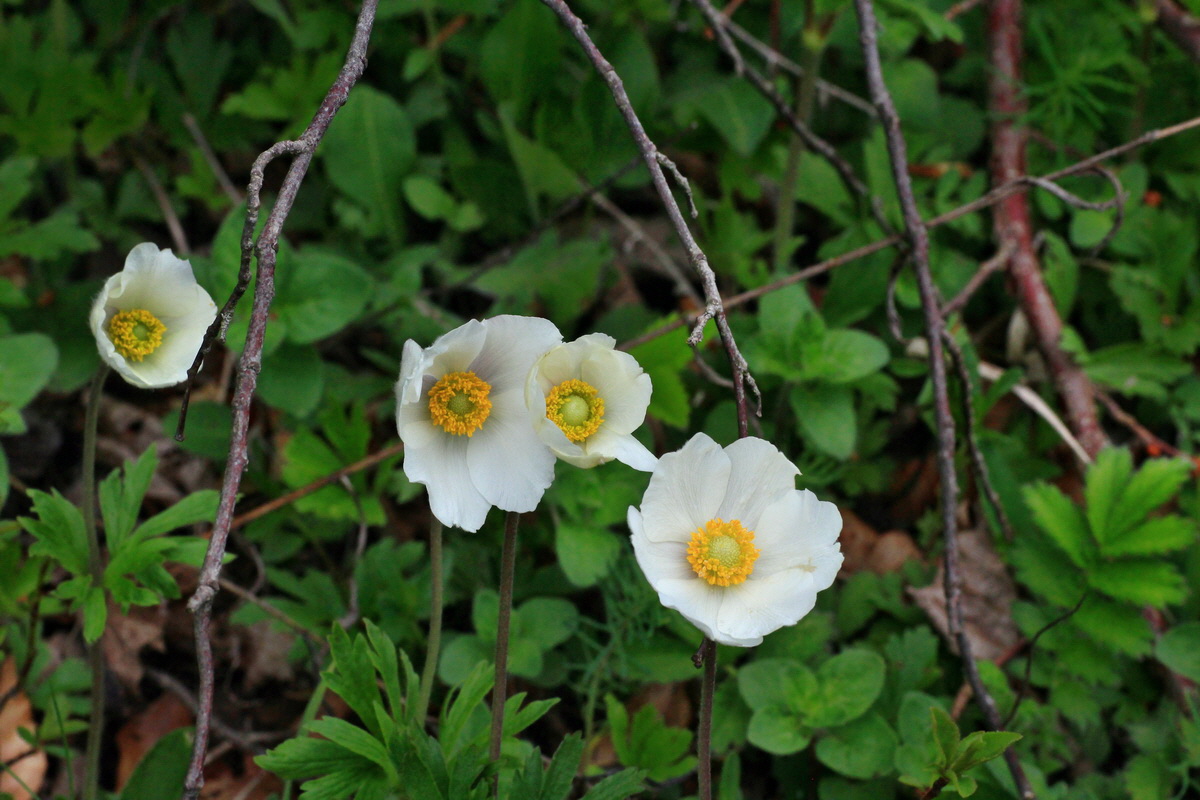 2015_05_05_00018764p_Bildgr��e �ndern