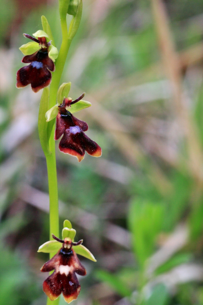 2015_05_05_00018768p_Bildgr��e �ndern