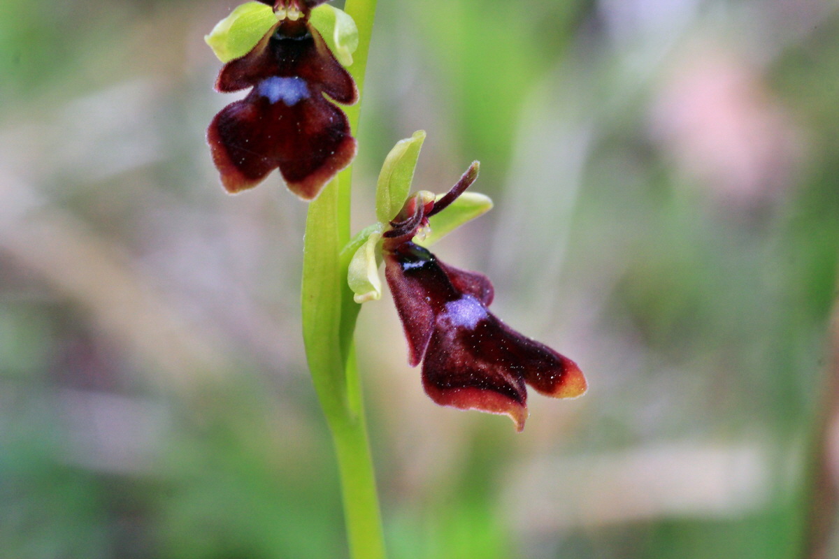 2015_05_05_00018772p_Bildgr��e �ndern