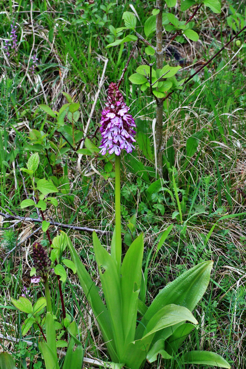 2015_05_05_00018779p_Bildgr��e �ndern