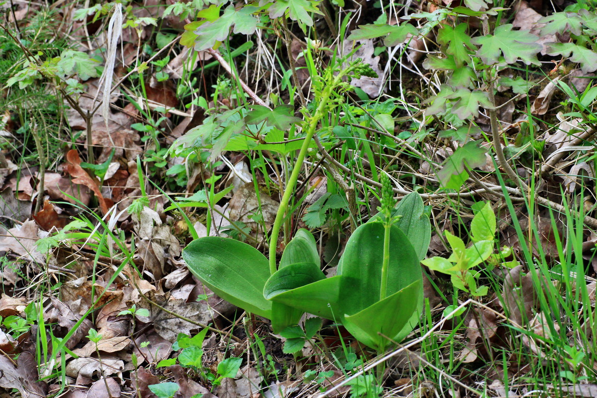 2015_05_05_00018788p_Bildgr��e �ndern