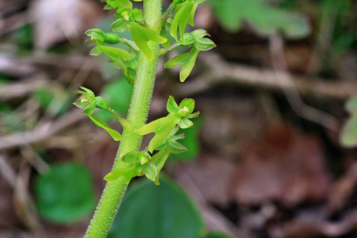 2015_05_05_00018790p_Bildgr��e �ndern