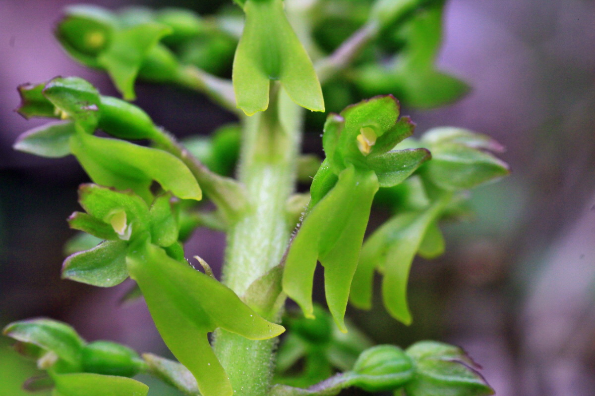 2015_05_05_00018794p_Bildgr��e �ndern