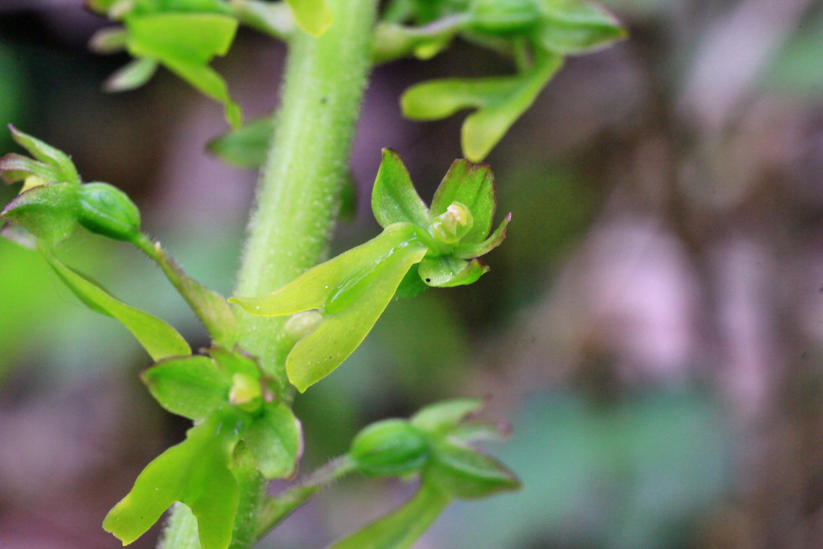 2015_05_05_00018797p_Bildgr��e �ndern