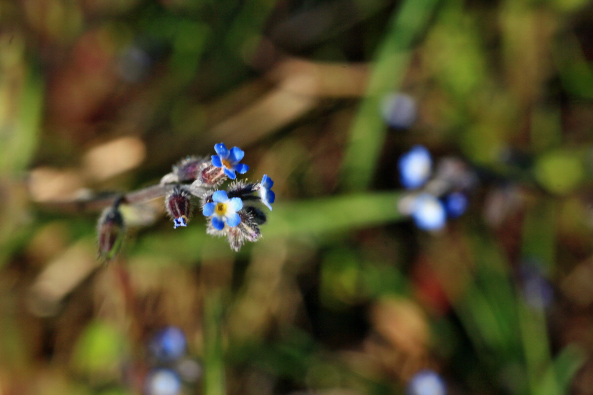 2015_05_06_00018804p_Bildgr��e �ndern