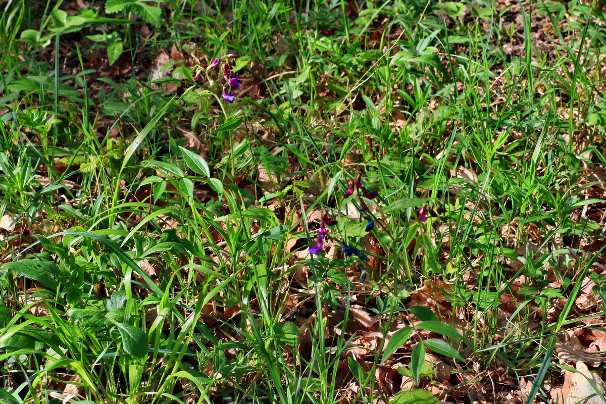 2015_05_06_00018805p_Bildgr��e �ndern