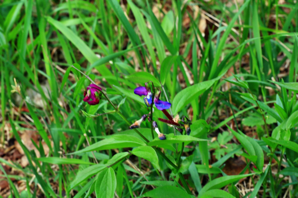 2015_05_06_00018808p_Bildgr��e �ndern