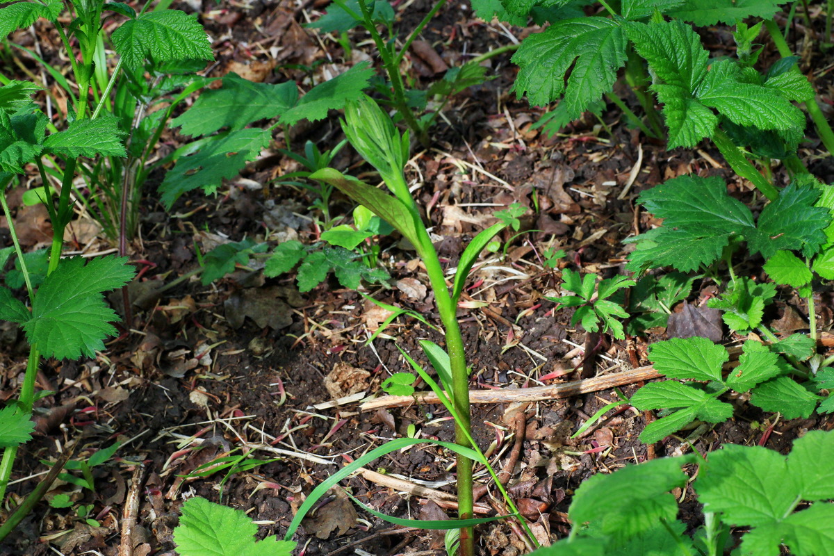 2015_05_06_00018810p_Bildgr��e �ndern