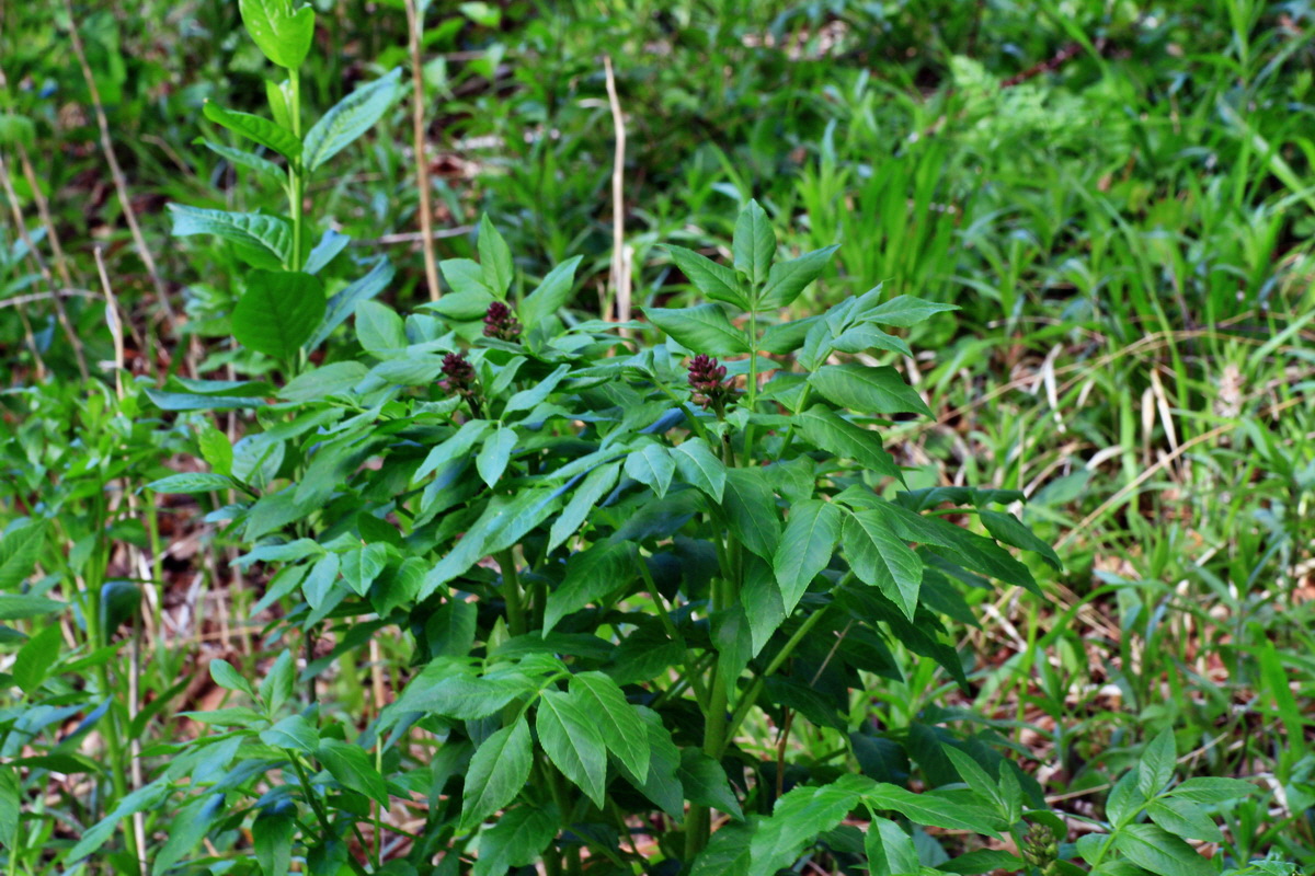 2015_05_06_00018814p_Bildgr��e �ndern