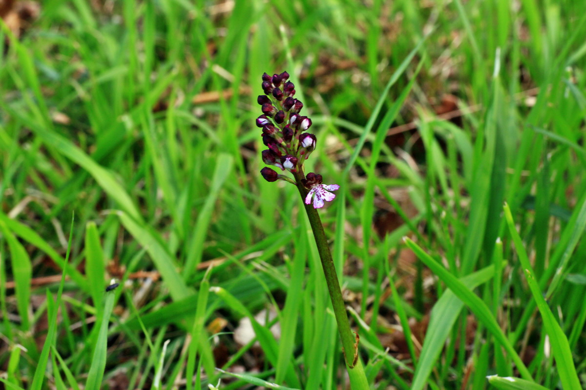 2015_05_06_00018816p_Bildgr��e �ndern