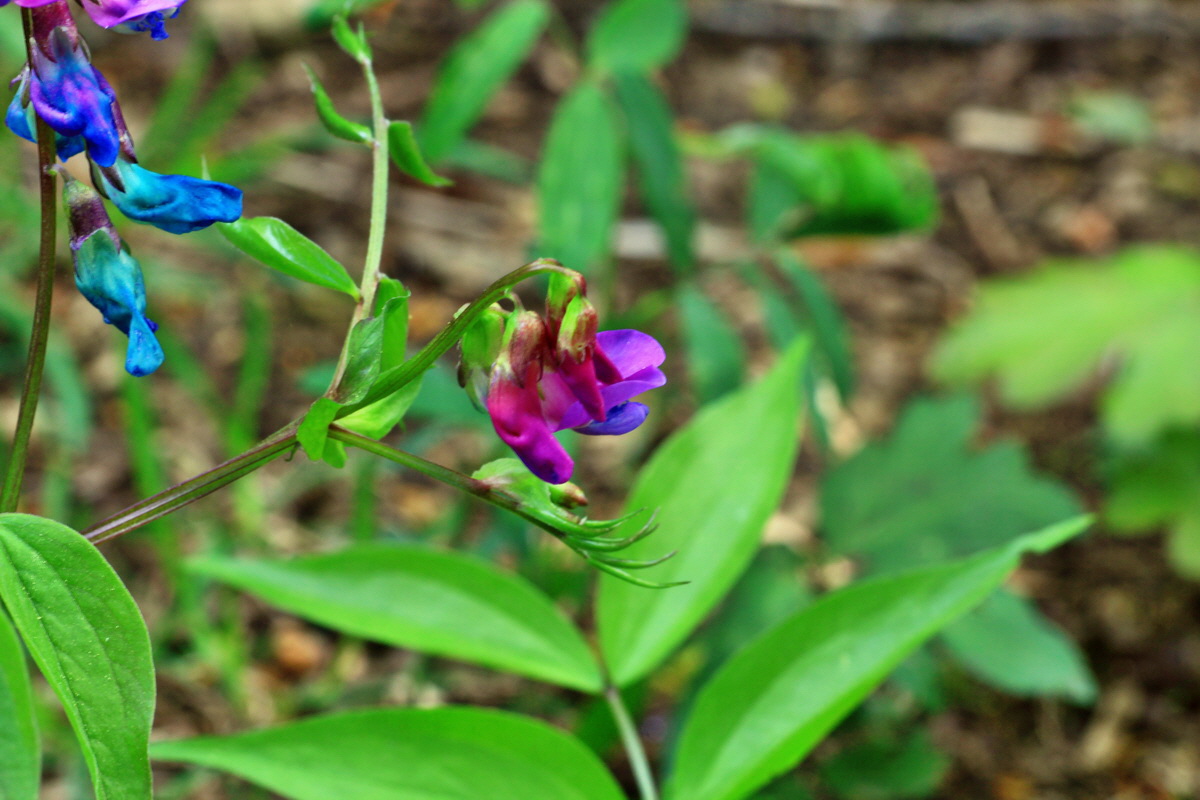 2015_05_06_00018818p_Bildgr��e �ndern