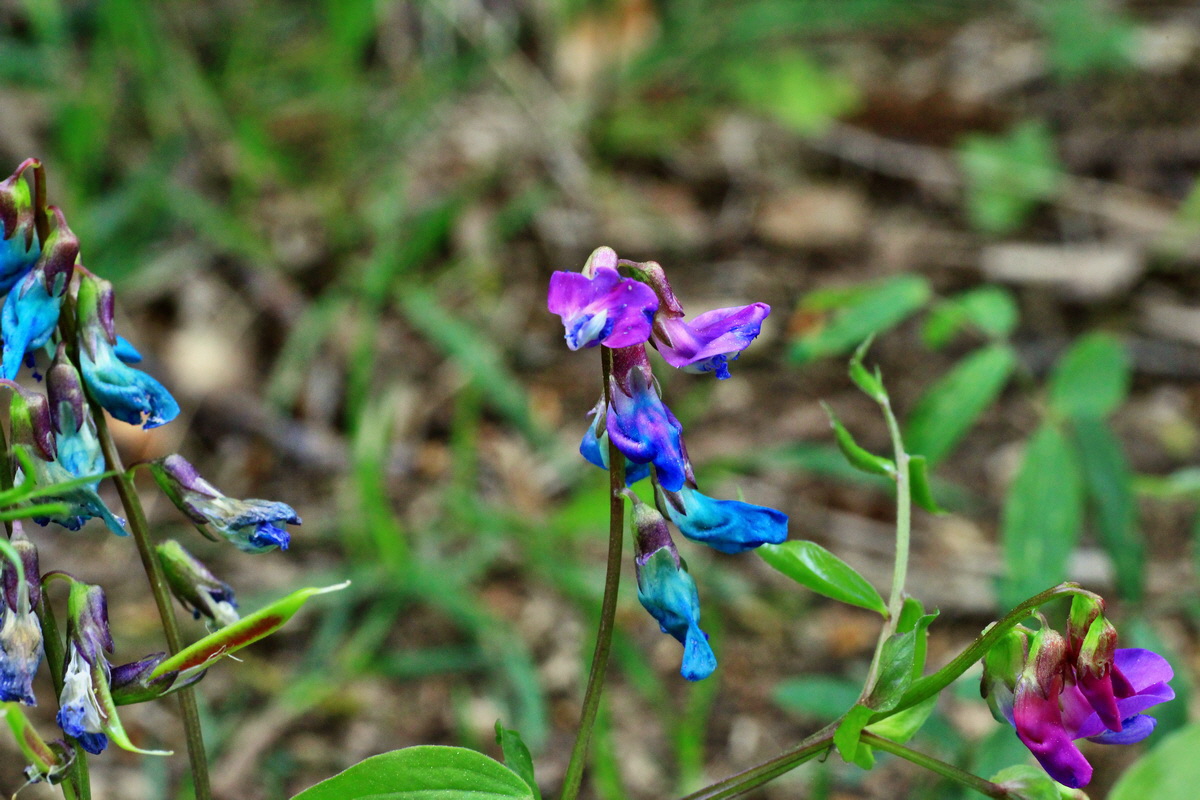 2015_05_06_00018821p_Bildgr��e �ndern