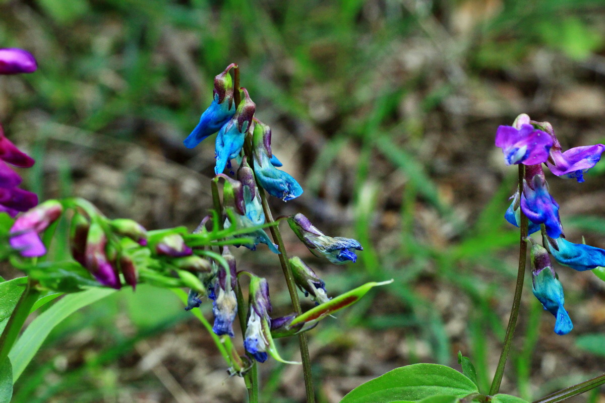 2015_05_06_00018825p_Bildgr��e �ndern