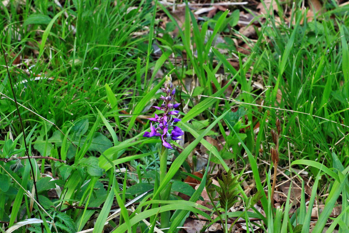 2015_05_06_00018829p_Bildgr��e �ndern