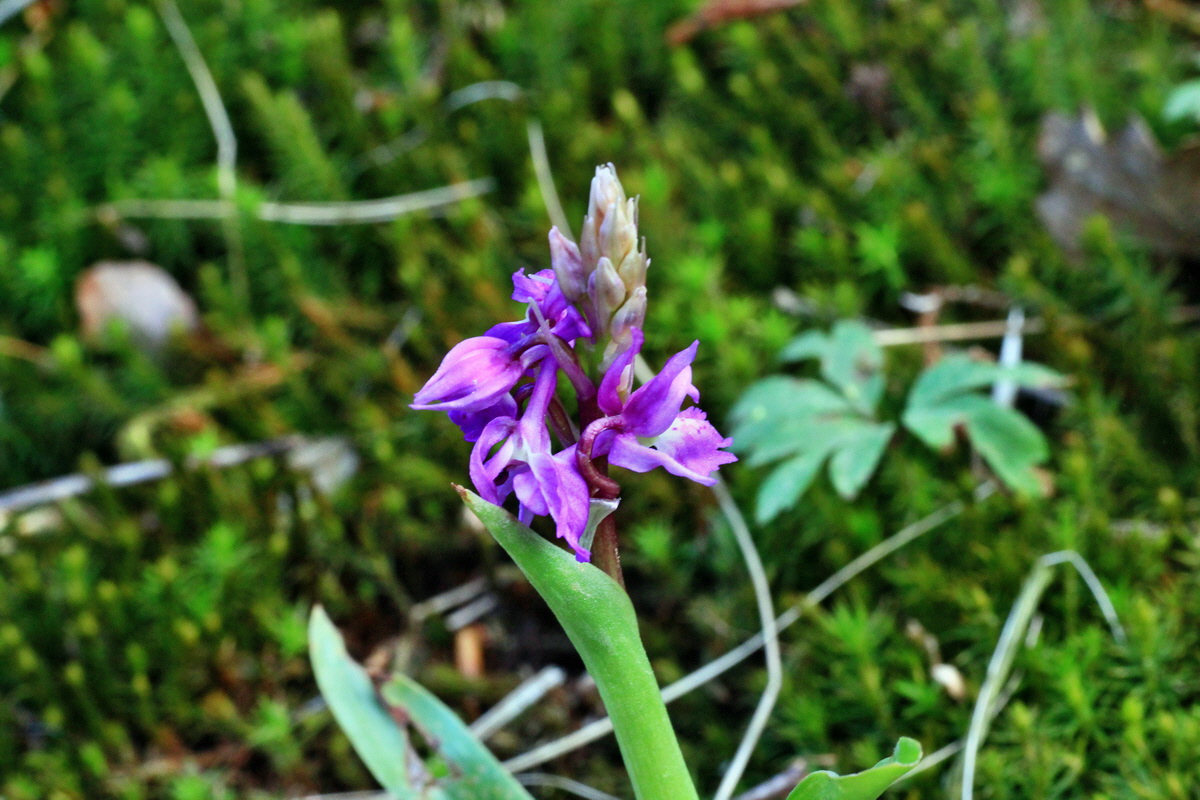 2015_05_06_00018831p_Bildgr��e �ndern