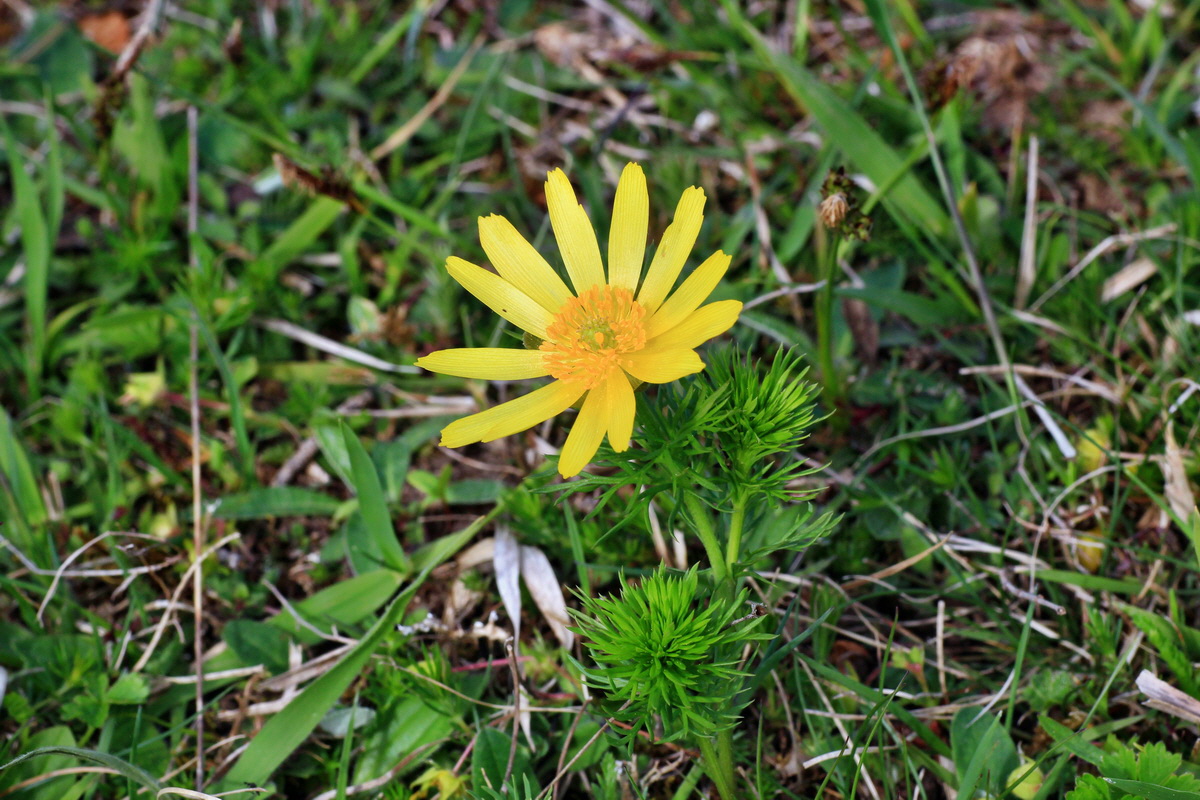 2015_05_06_00018844p_Bildgr��e �ndern