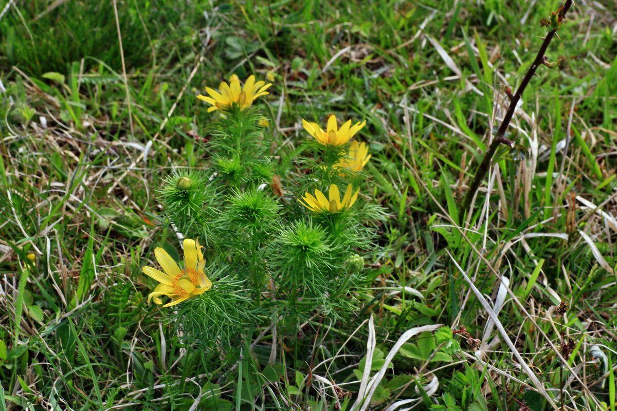 2015_05_06_00018846p_Bildgr��e �ndern