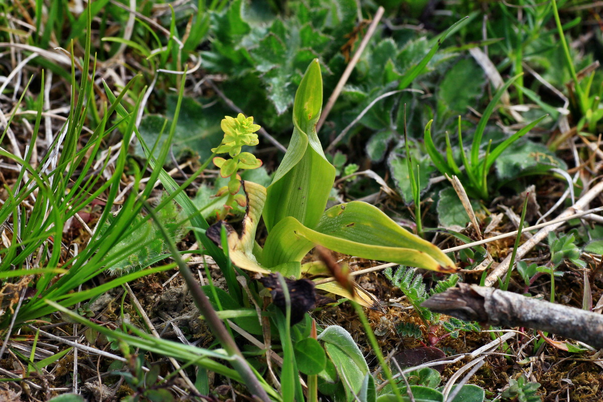 2015_05_06_00018849p_Bildgr��e �ndern