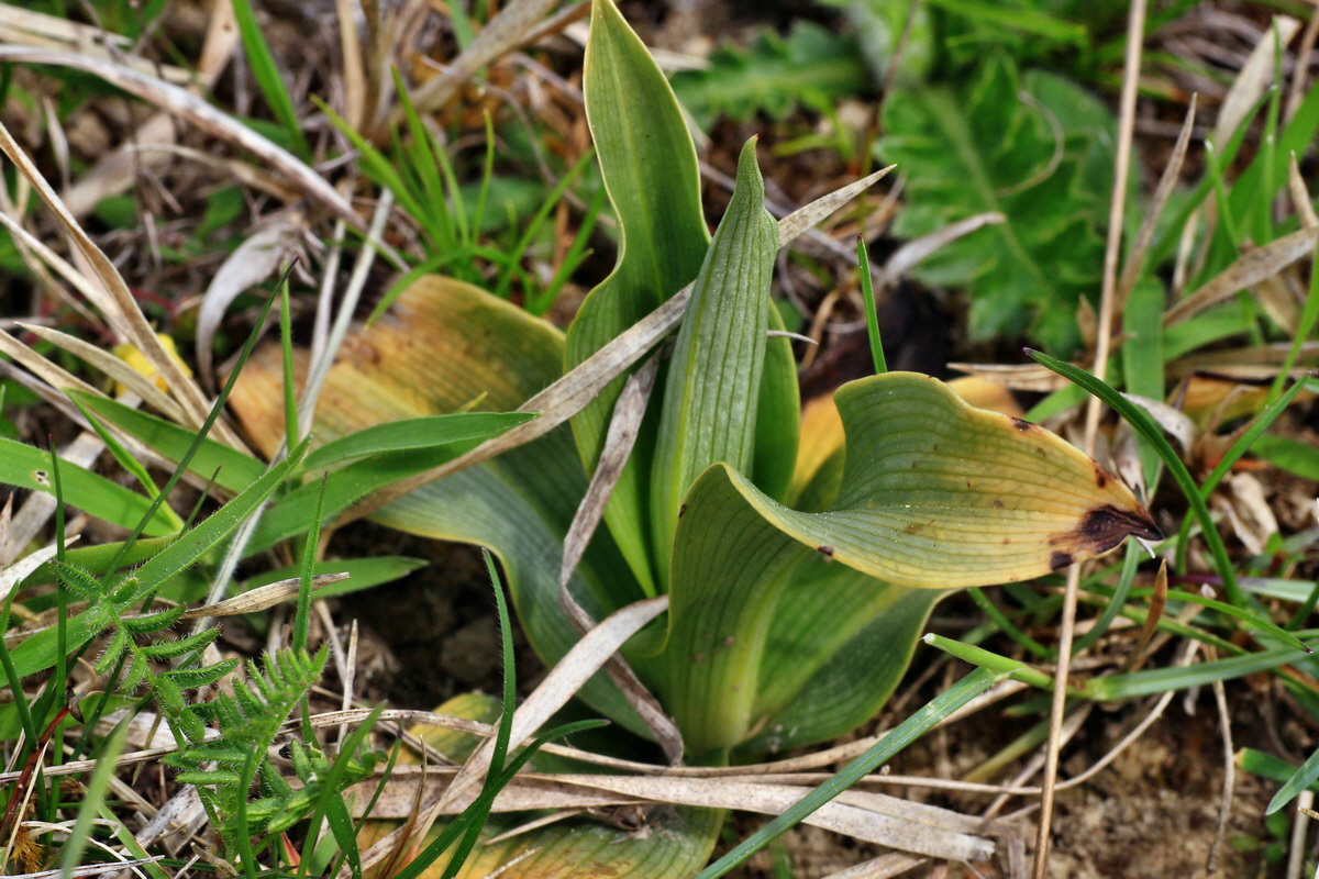 2015_05_06_00018853p_Bildgr��e �ndern