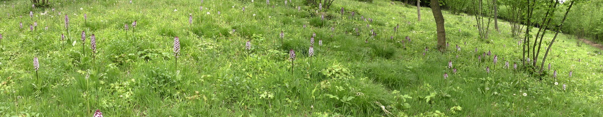 [Group 2]-05-09-2015_141942(1)_05-09-2015_141942(5)-3 images_Bildgr��e �ndern