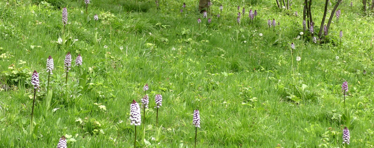 [Group 9]-05-09-2015_141054(3)_05-09-2015_141054(4)-2 images_Bildgr��e �ndern