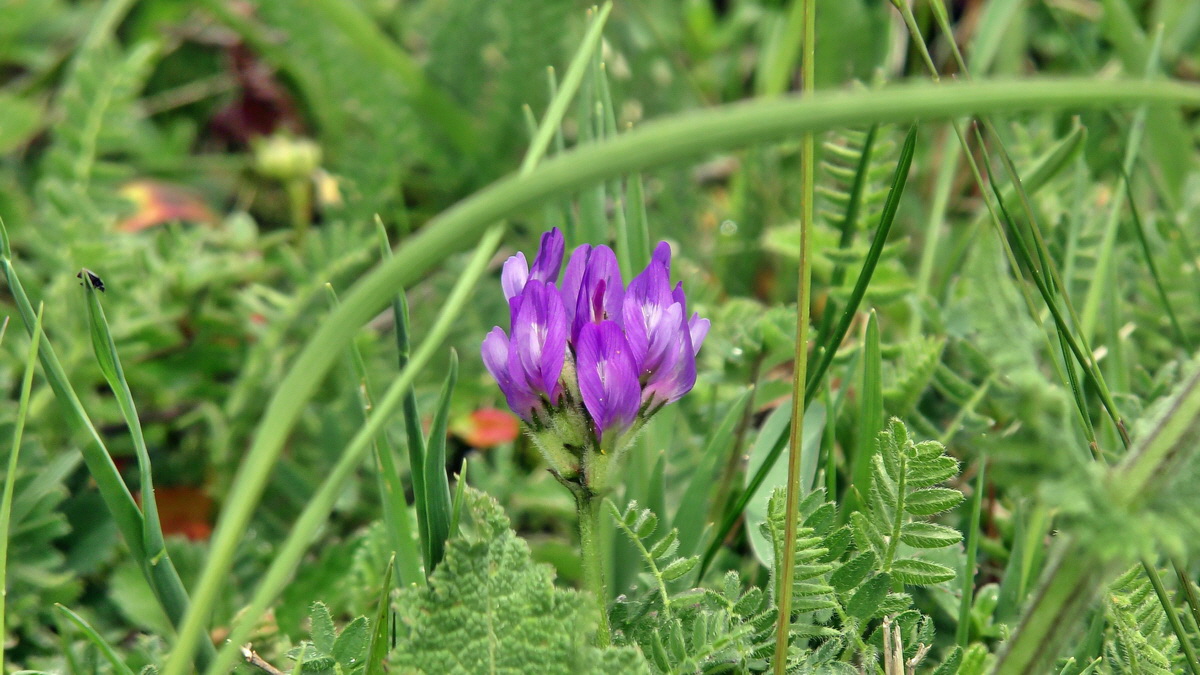 05-09-2015_133354p_Bildgr��e �ndern